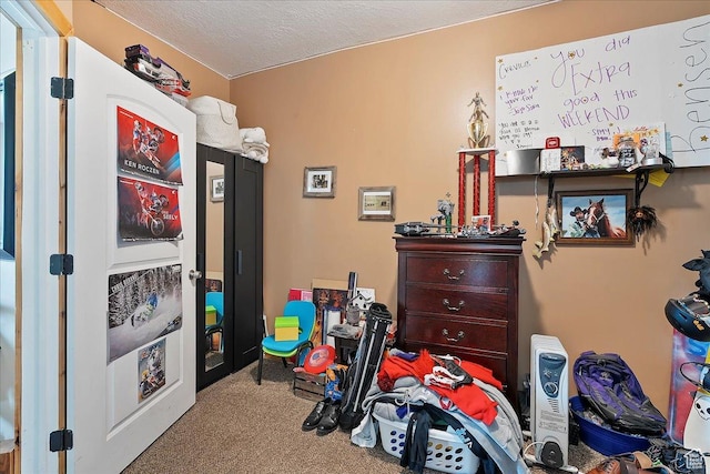 1183 S Hoytsville Rd Unit A, Hoytsville, UT 84017 - bedroom featuring carpet flooring and a textured ceiling