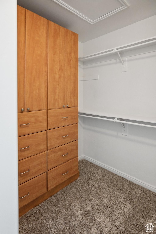 11411 S Oakmond Rd, South Jordan, UT 84009 - walk in closet with carpet