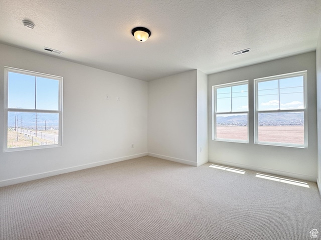 6648 W 11800 S, South Jordan, UT 84009 - empty room featuring carpet floors, healthy amount of natural light, baseboards, and a textured ceiling