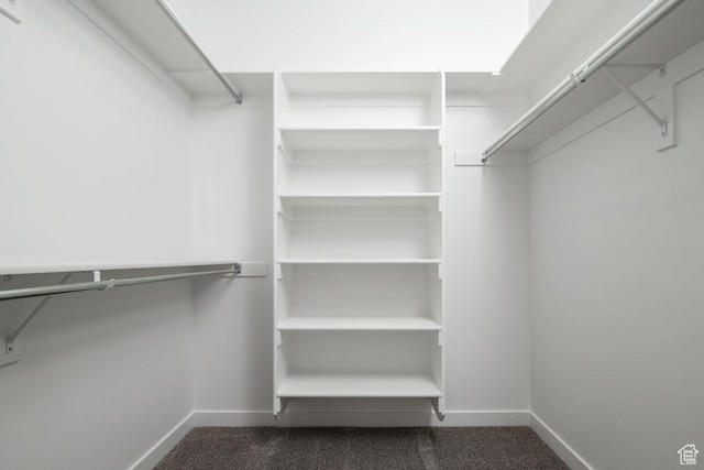 4111 W 1575 S Unit 118, Ogden, UT 84404 - walk in closet with dark colored carpet