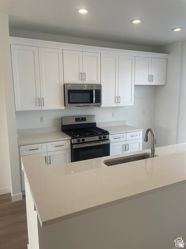 1650 N Main St N Unit 129, Layton, UT 84041 - kitchen with appliances with stainless steel finishes, a sink, dark wood-style floors, recessed lighting, and white cabinets