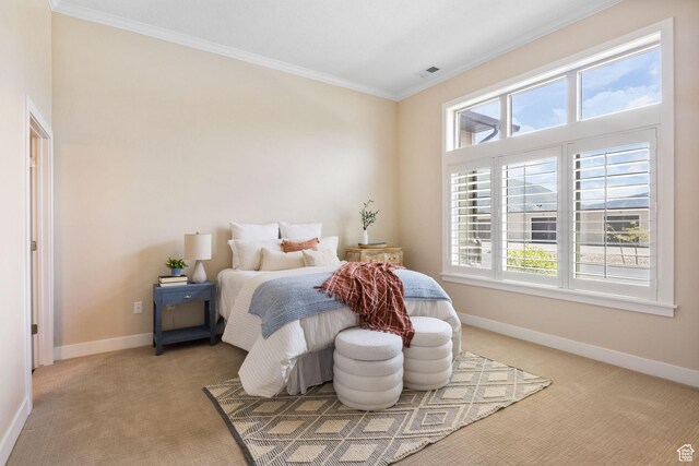 1736 W 300 S Unit D, Mapleton, UT 84664 - bedroom with ornamental molding, light colored carpet, multiple windows, and baseboards
