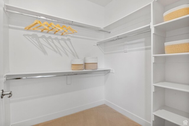 1736 W 300 S Unit D, Mapleton, UT 84664 - spacious closet with light carpet