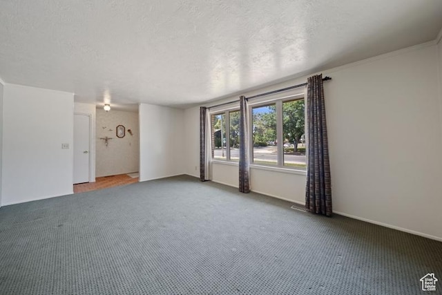 71 W Princeton Dr, Midvale, UT 84047 - spare room with carpet floors, a textured ceiling, and ornamental molding