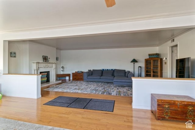 1132 E 2700 S Unit E36, Millcreek, UT 84106 - living room with wood finished floors and a fireplace with raised hearth