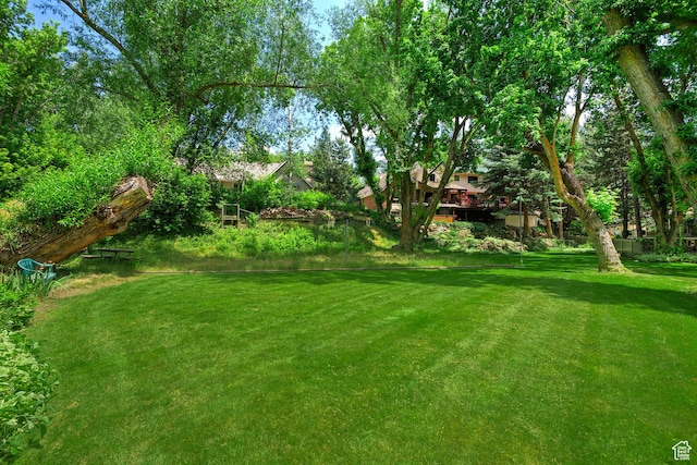 12144 S Mountain Shadow Rd, Sandy, UT 84092 - view of grassy yard