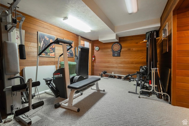 12144 S Mountain Shadow Rd, Sandy, UT 84092 - workout area with carpet floors and wooden walls