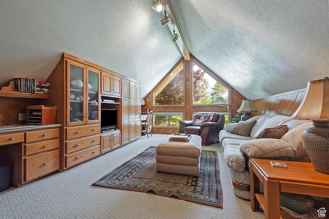 12144 S Mountain Shadow Rd, Sandy, UT 84092 - living area with a textured ceiling, vaulted ceiling, carpet, wood walls, and track lighting