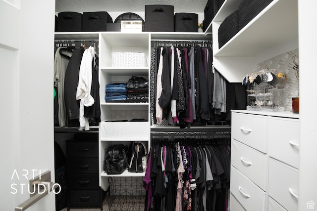 3516 N Willy Way, Eagle Mountain, UT 84005 - view of spacious closet