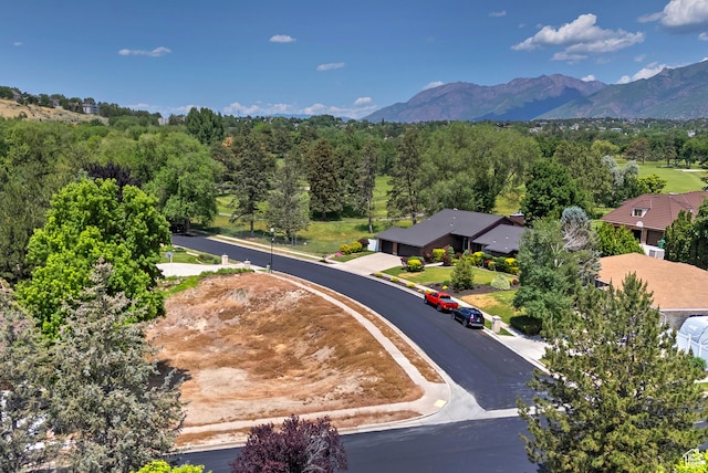 12164 S Mountain Shadow Rd, Sandy, UT 84092