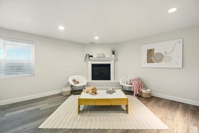 192 S 100 E, Wellsville, UT 84339 - living room with wood finished floors, recessed lighting, and a glass covered fireplace