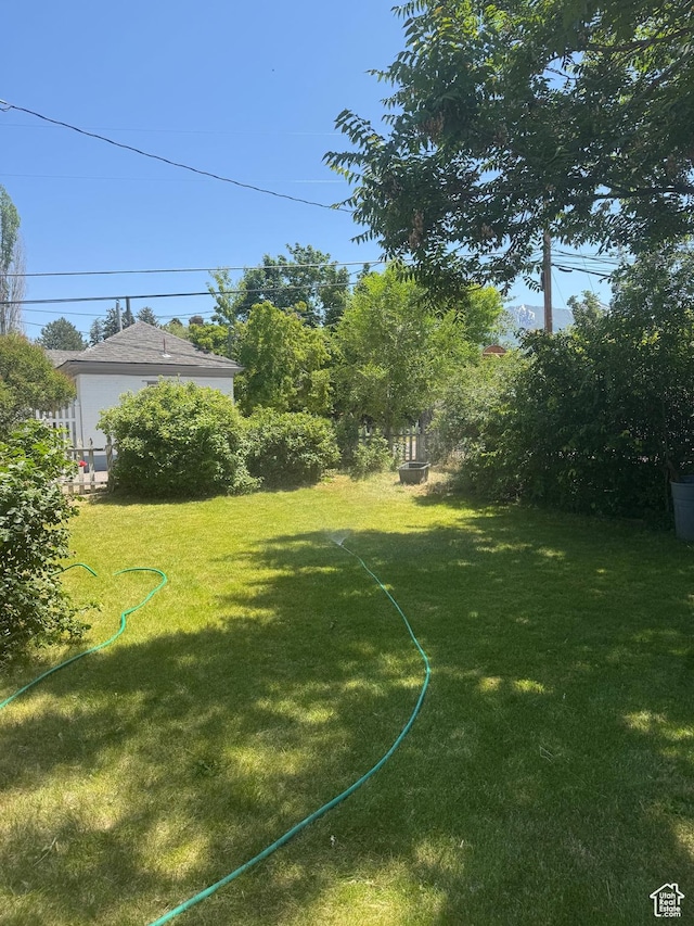 248 E 300 S, Springville, UT 84663 - view of green lawn