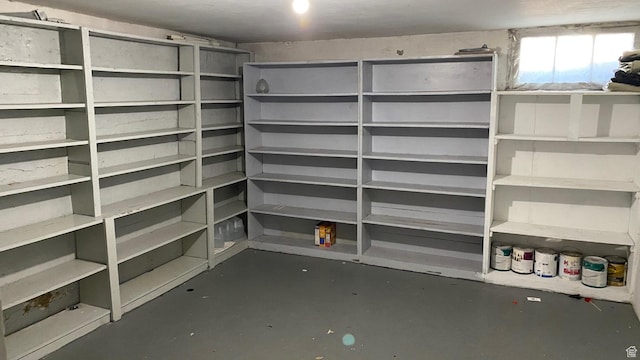248 E 300 S, Springville, UT 84663 - view of storage area