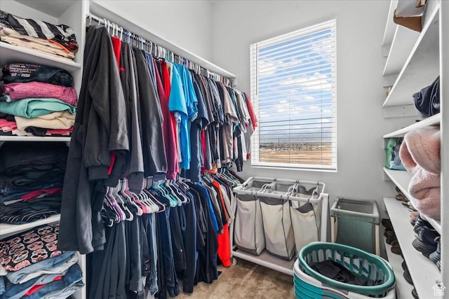 10849 S Lake Run Rd Unit 187, South Jordan, UT 84009 - spacious closet featuring carpet floors