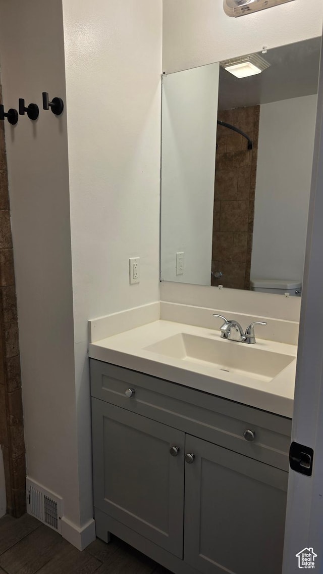 20915 W 1300 S, Malad City, ID 83252 - bathroom featuring vanity, a shower, wood finished floors, and toilet