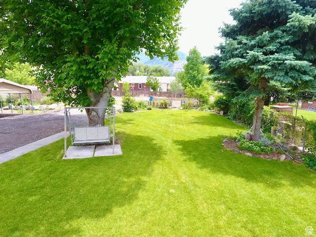 67 S 200 E, Pleasant Grove, UT 84062 - view of yard