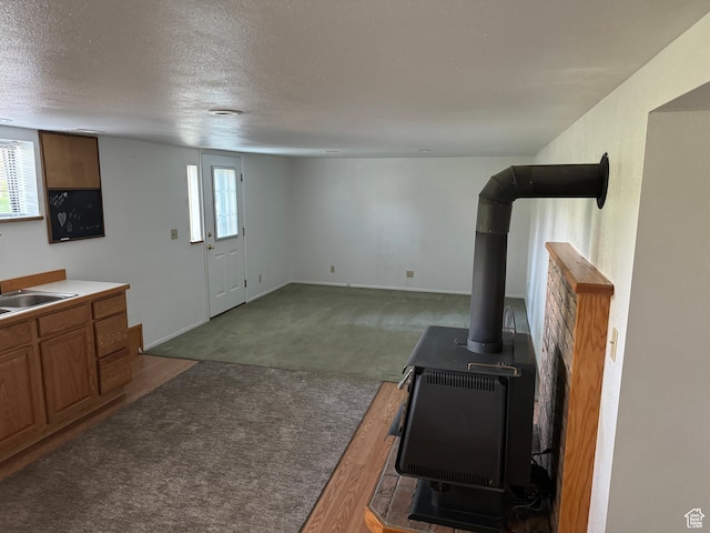 67 S 200 E, Pleasant Grove, UT 84062 - unfurnished living room featuring a wood stove, a sink, plenty of natural light, carpet flooring, and a textured ceiling