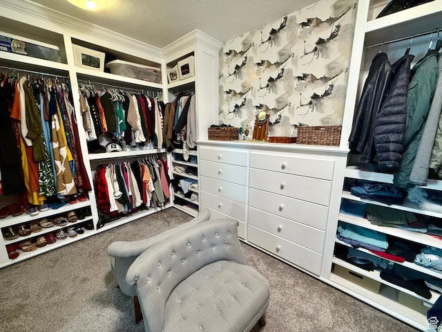 1820 S Kerrybrook Dr, Kaysville, UT 84037 - spacious closet with carpet