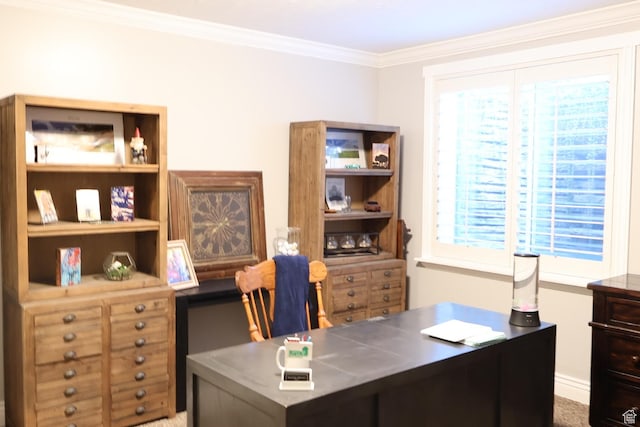 1820 S Kerrybrook Dr, Kaysville, UT 84037 - office space with ornamental molding