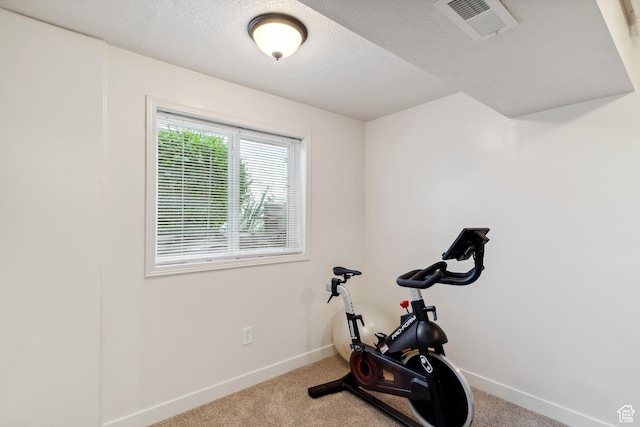 4293 W 5550 S, Roy, UT 84067 - exercise area with baseboards, a textured ceiling, and carpet floors