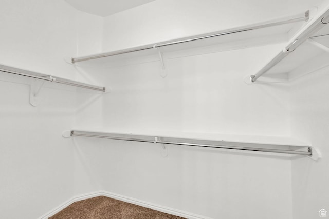 282 Caleb Dr, North Salt Lake, UT 84054 - spacious closet featuring carpet
