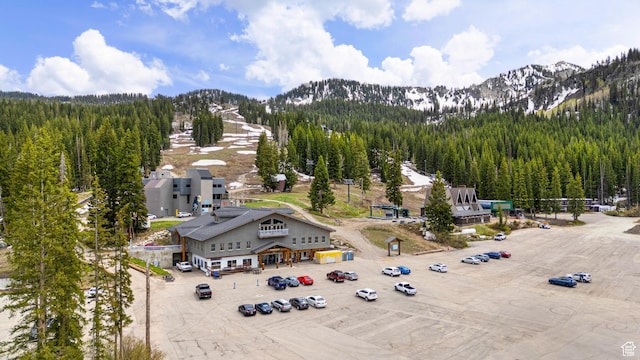 11316 E Silver Fork Rd, Brighton, UT 84121 - drone / aerial view of a mountainous background and a forest
