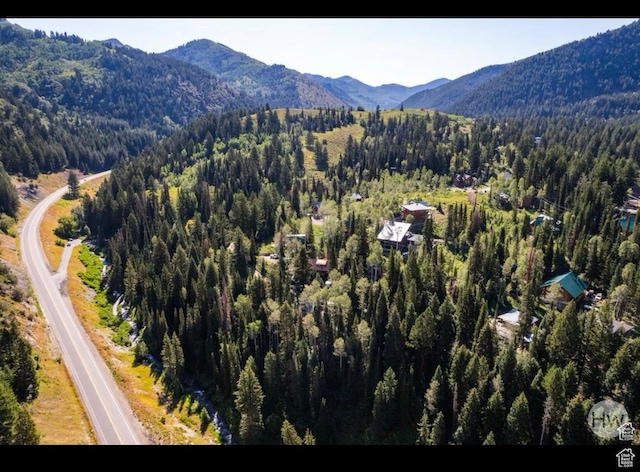 11316 E Silver Fork Rd, Brighton, UT 84121 - bird's eye view of a heavily wooded area and a mountain backdrop