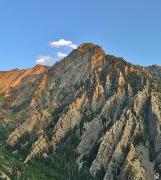 11316 E Silver Fork Rd, Brighton, UT 84121 - view of mountain backdrop