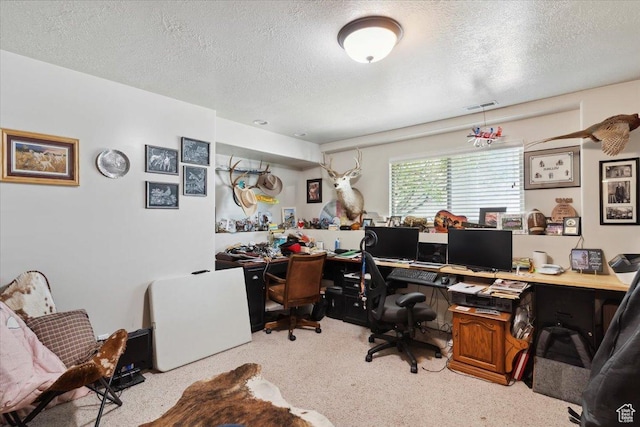 969 S View Crest Ln W, Kaysville, UT 84037 - office space featuring a textured ceiling