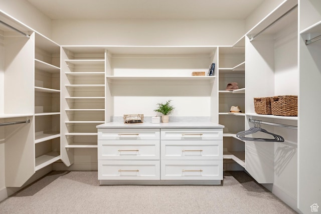 4107 W Crest Ct, Park City, UT 84098 - walk in closet with light carpet