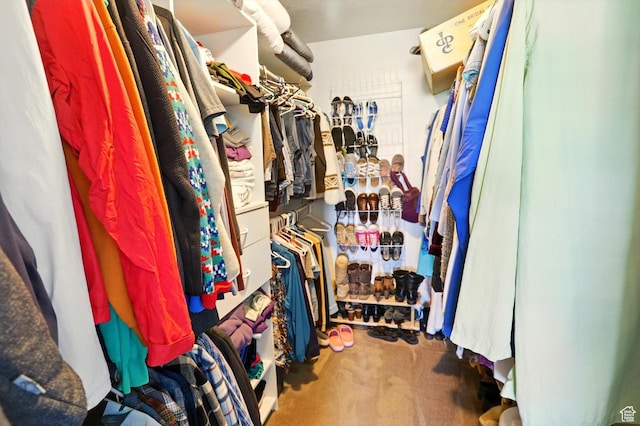 130 S 1500 W, Marriott Slaterville, UT 84404 - walk in closet with carpet floors