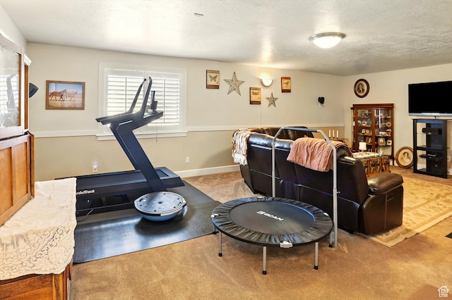 130 S 1500 W, Marriott Slaterville, UT 84404 - exercise room with carpet floors
