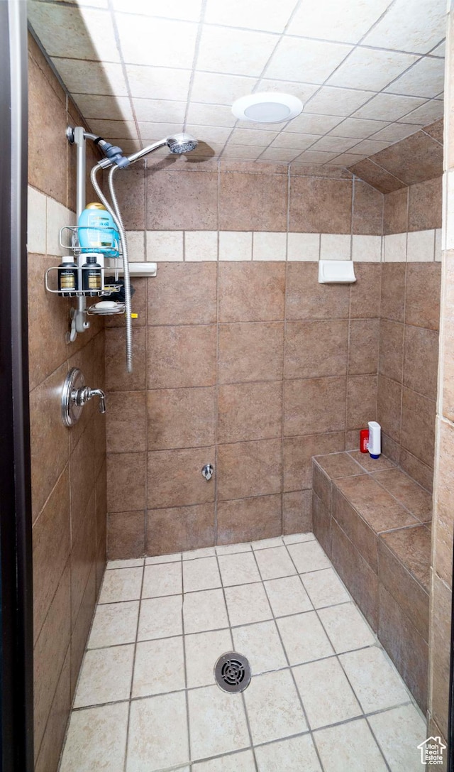 964 W Vahe St, Draper, UT 84020 - bathroom featuring tiled shower