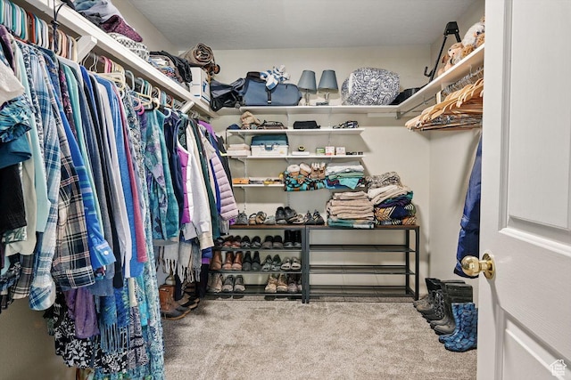 397 N Wendy Dr, Torrey, UT 84775 - spacious closet featuring carpet flooring
