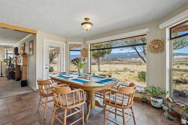 397 N Wendy Dr, Torrey, UT 84775 - dining area with baseboards, a textured ceiling, and a mountain view