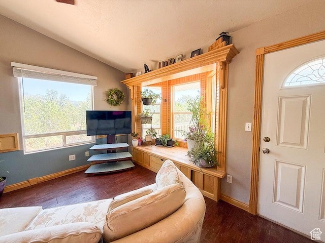 425 E Mule Deer Rd, Central, UT 84722 - living room with vaulted ceiling, dark wood-style floors, and baseboards