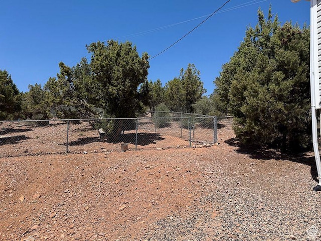 425 E Mule Deer Rd, Central, UT 84722 - view of yard