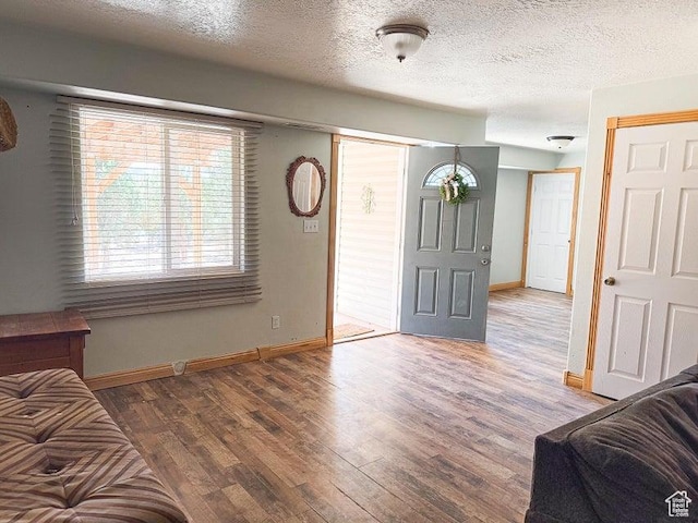 425 E Mule Deer Rd, Central, UT 84722 - entryway featuring baseboards, wood finished floors, and a textured ceiling