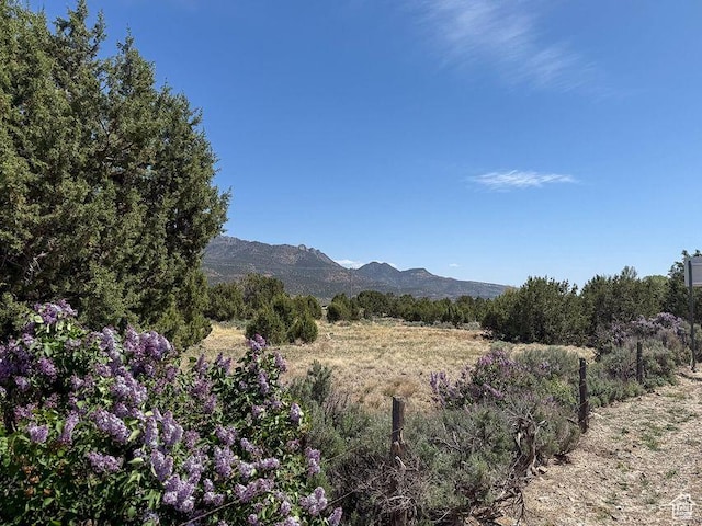 425 E Mule Deer Rd, Central, UT 84722 - mountain view