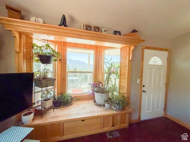 425 E Mule Deer Rd, Central, UT 84722 - foyer featuring baseboards