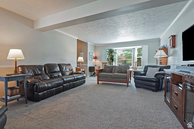 9039 S 1660 E, Sandy, UT 84093 - carpeted living room featuring crown molding and a textured ceiling