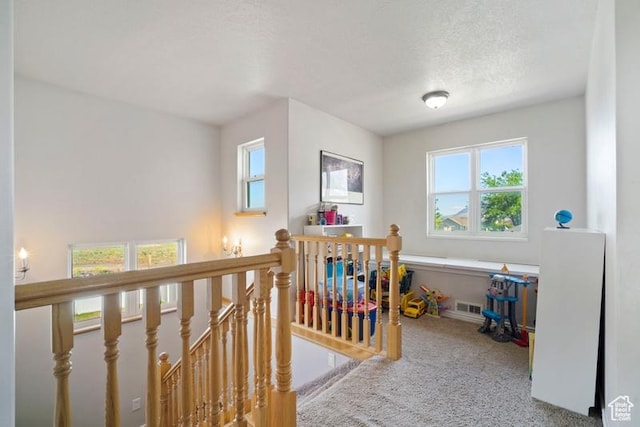 787 N 500 W, Brigham City, UT 84302 - hall featuring an upstairs landing, carpet, and plenty of natural light