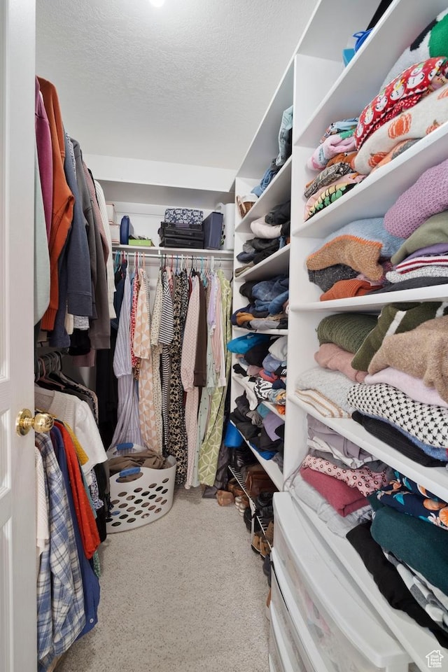 787 N 500 W, Brigham City, UT 84302 - spacious closet with carpet