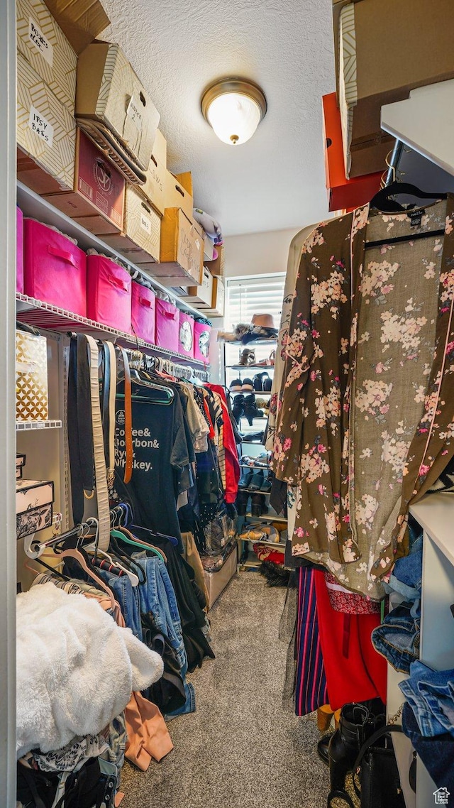4475 S Lochnivar Ct E, Millcreek, UT 84107 - spacious closet with carpet