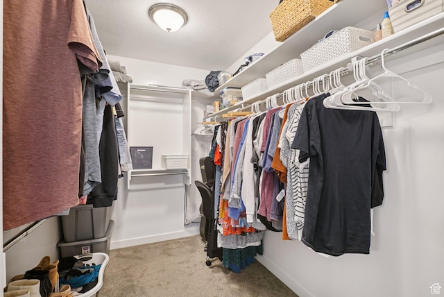 1123 W Osprey Dr, Stansbury Park, UT 84074 - walk in closet with carpet flooring
