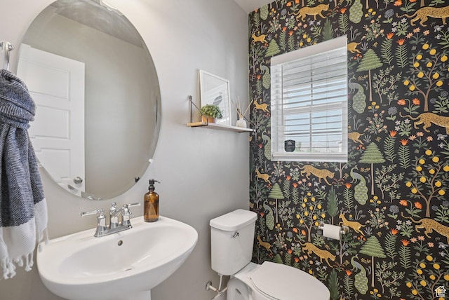 1123 W Osprey Dr, Stansbury Park, UT 84074 - bathroom featuring a sink, toilet, and wallpapered walls