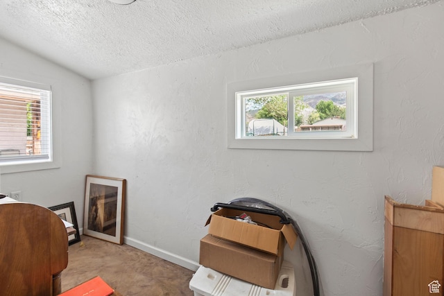 195 S 200 E, Monroe, UT 84754 - bedroom with a textured ceiling, vaulted ceiling, carpet flooring, and baseboards