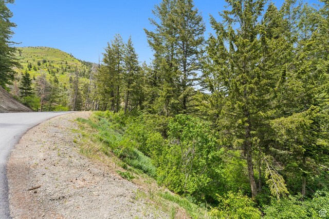 590 Matterhorn Dr, Park City, UT 84098 - photo 12