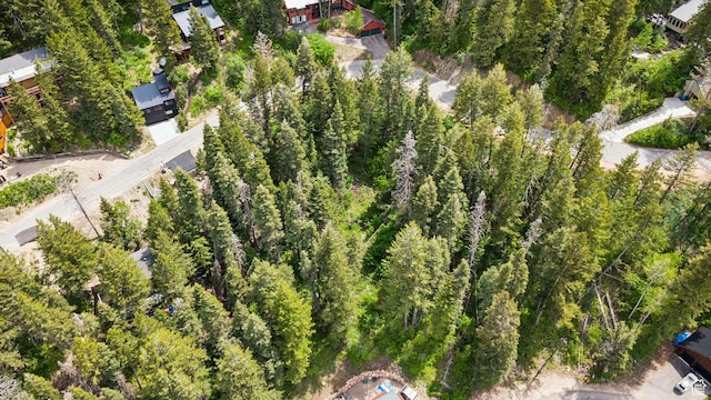 590 Matterhorn Dr, Park City, UT 84098 - photo 4