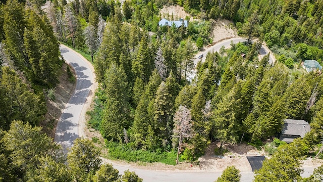 590 Matterhorn Dr, Park City, UT 84098 - photo 15